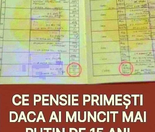 Ce pensie primești daca ai muncit mai puțin de 15 ani. Condiția e să fi cotizat măcar 10 ani