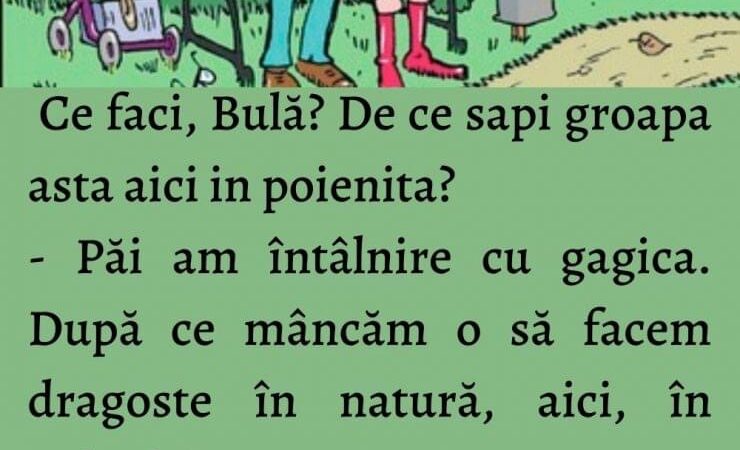 Bancuri cu bulă