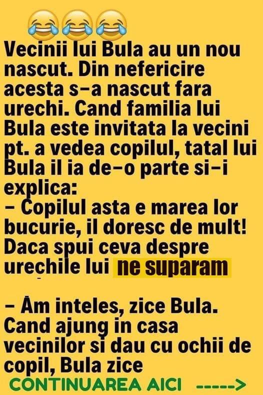 Nou nascutul vecinilor