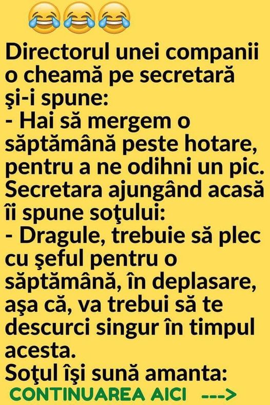 Directorul Unei Companii O Cheamă Pe Secretară