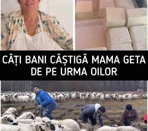 Mama Geta Face Bani Frumoși De Pe Urma Oilor