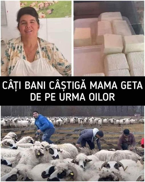 Mama Geta Face Bani Frumoși De Pe Urma Oilor