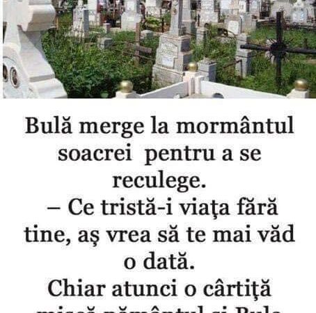 Bulă visează numărul 7. Se trezește buimac, se uită la ceas și vede ora 7:07. Continuarea e genială