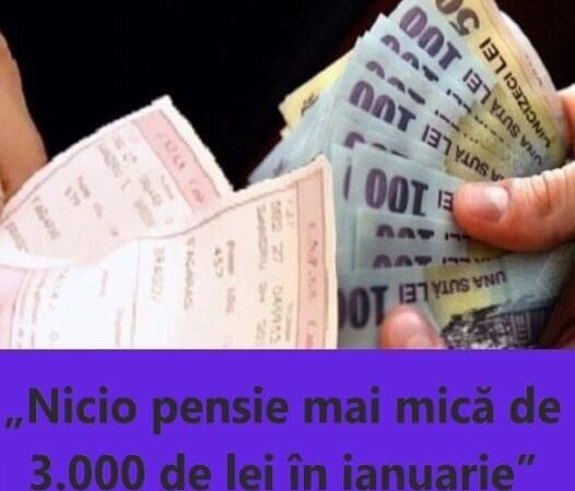 Nicio pensie mai mică de 3.000 de lei în ianuarie Ei sunt pensionarii care vor primi cu 30 mai mulți bani la pensie din 2024