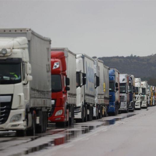 Leguma din România care i-a înnebunit pe străini. Cine a plantat așa ceva s-a umplut de bani. Tiruri din Polonia Ungaria sau Austria stau la coadă ca să cumpere