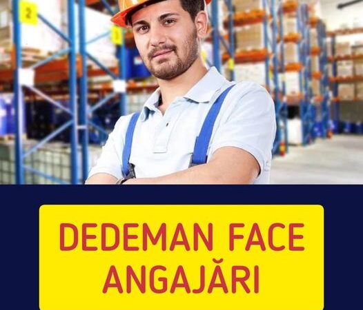 Dedeman face angajări Ce posturi sunt disponibile și ce salarii oferă