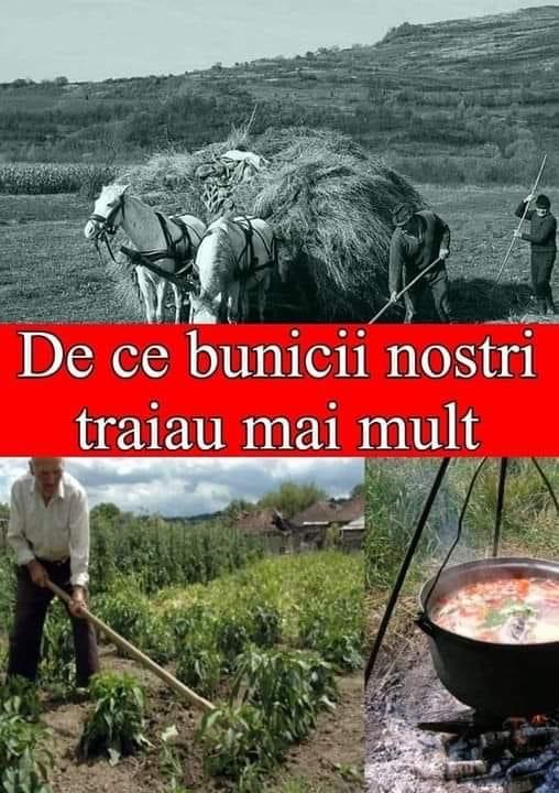 MOTIVELE PENTRU CARE BUNICII NOȘTRI DUCEAU UN TRAI SĂNĂTOS FĂRĂ BOLI ȘI TRĂIAU MAI MULT DECÂT OAMENII MODERNI DE ASTĂZI