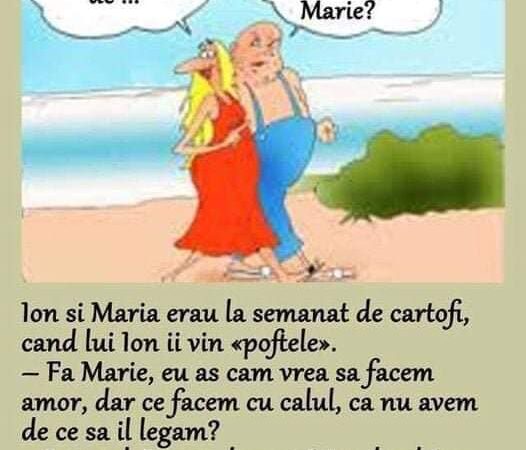 Ion si Maria erau pe ogor la semanat de cartofi