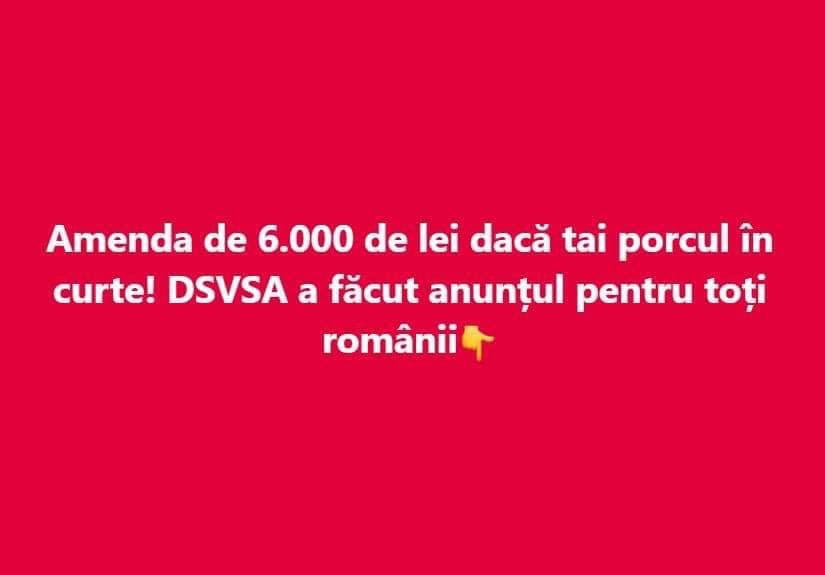 Amenda de 6000 de lei dacă tai porcul în curte DSVSA a făcut anunțul pentru toți românii