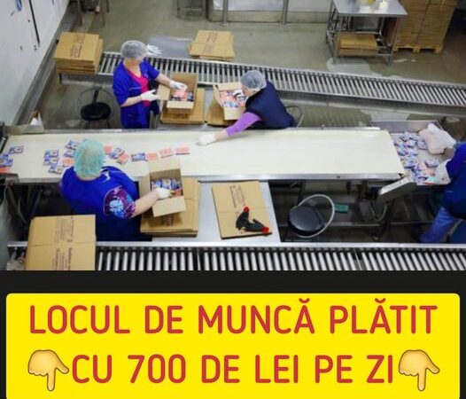 Locul de muncă plătit cu 700 de lei pe zi. Angajatorul oferă două mese pe zi precum și bani pentru chirie. Ce presupune jobul