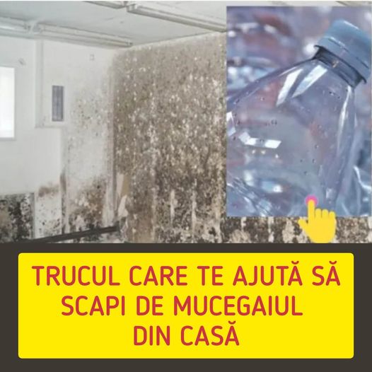 Trucul cu sticla din plastic care te scapă de mucegaiul din casă. Sigur nu-l știai