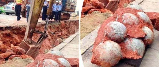 Descoperire unică cel mai mare cuib de ouă de dinozaur găsit în China.