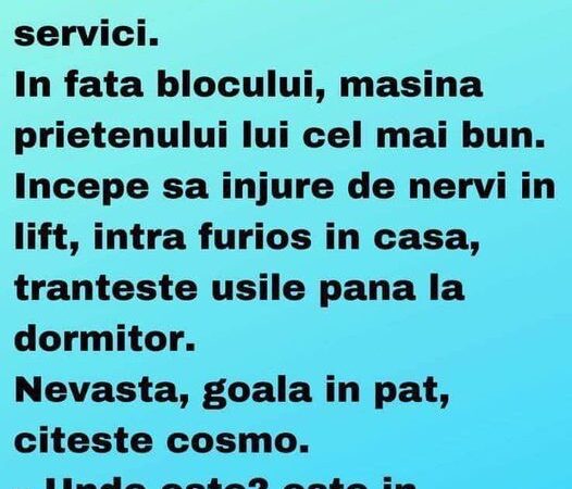 Vine barbatul acasa cu 3 ore mai devreme de la servici. In fata blocului masina prietenului lui cel mai bun.