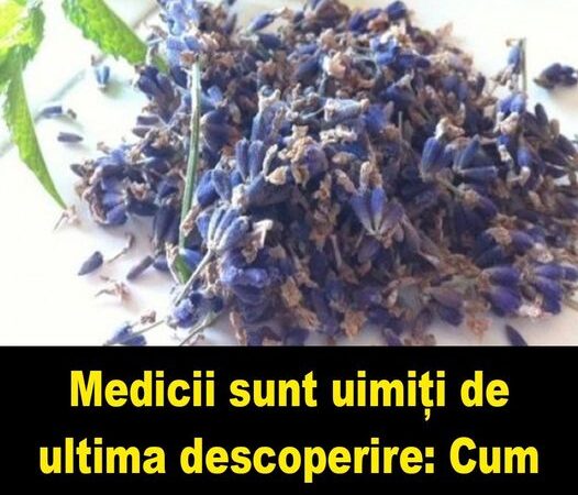 Ultima descoperire Această plantă distruge cea mai temută bacterie din lume.