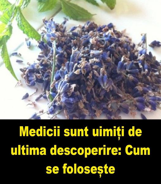 Ultima descoperire Această plantă distruge cea mai temută bacterie din lume.