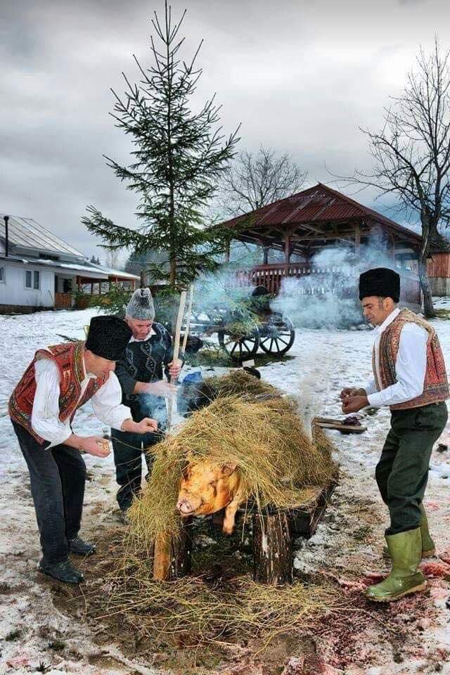 Amenda de 6000 de lei dacă tai porcul în curte DSVSA a făcut anunțul pentru toți românii