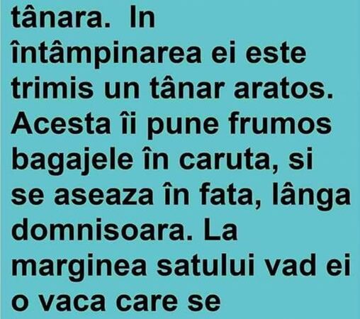 Intr-Un Sat Soseste O Învatatoare Noua Si Tânara