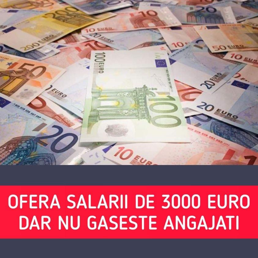 Oferă salarii de aproape 3.000 de euro pe lună și nu găsește oameni. Mărturia unui patron