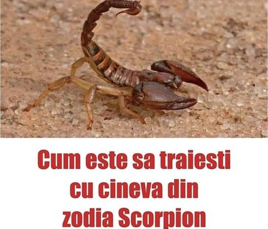 Cum este sa traiesti cu cineva din zodia Scorpion ce obiceiuri are