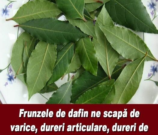 Avantajele frunzei de dafin De ce este bine să le folosim când preparăm carne