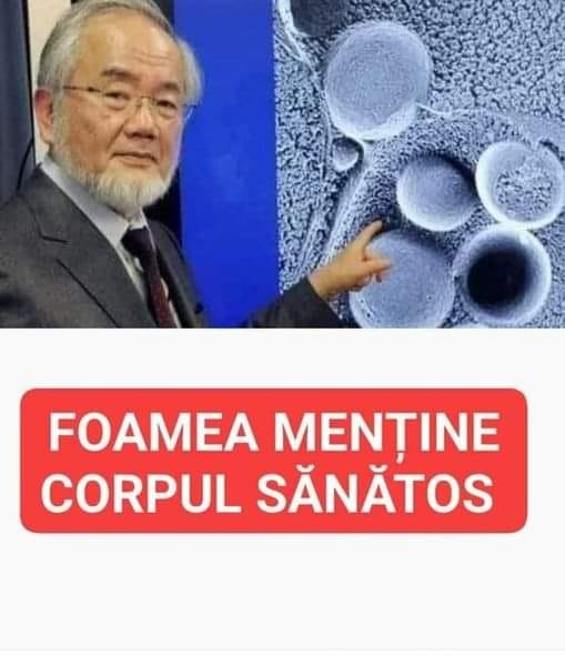 Dieta unui japonez laureat al Premiului Nobel care face furori în lume. Are multiple beneficii pentru organism