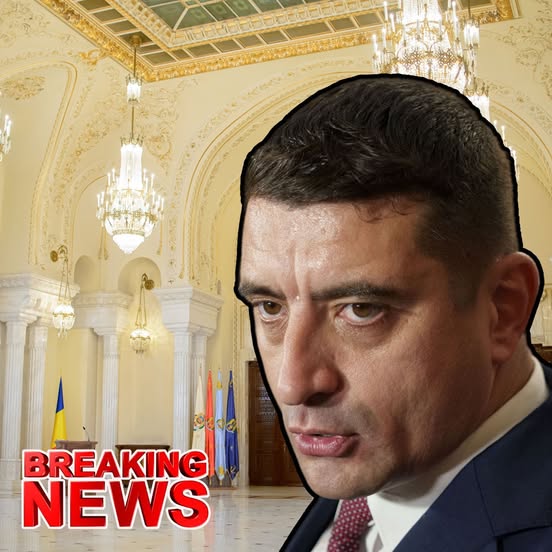 Circ la poarta Palatului Cotroceni. Simion a adus o dubă pentru Iohannis O puteţi vedea pentru mutări relocări debarasări