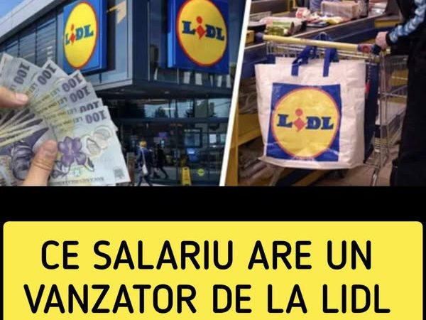 Ce salariu are un vânzător de la Lidl în ianuarie 2025. Pe lângă leafă se oferă prime de sărbători liber pentru ziua de naștere și alte bonusuri