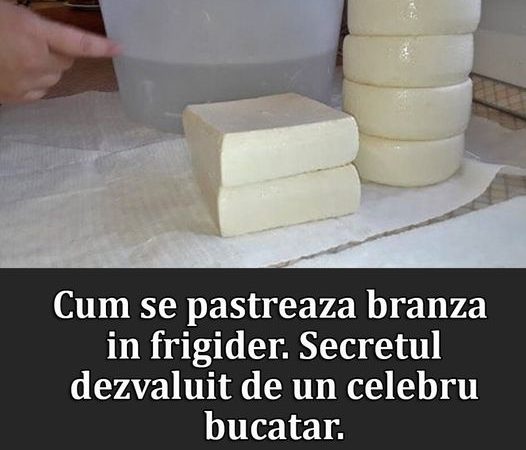 Cum să păstrezi brânza proaspătă în frigider Sfaturi esențiale