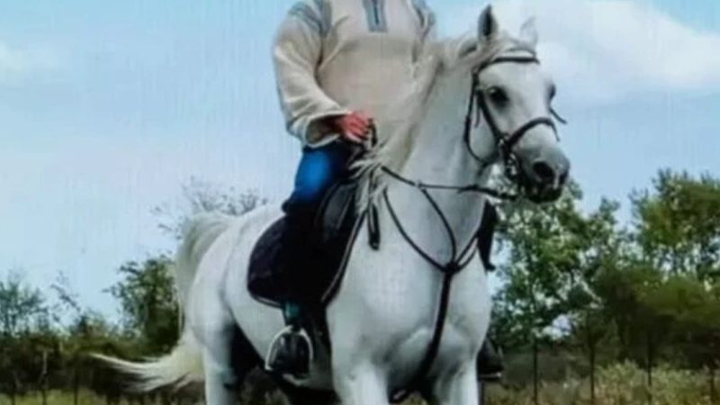 Călin Georgescu este de neoprit. Vezi mai jos Verdictul venit dinspre CCR răstoarnă România N-au găsit dovezi