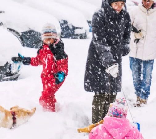 Iarna stăpâna României. Unde vin gerul și ninsorile. Vezi mai jos Prognoza meteo ANM până pe 26 ianuarie