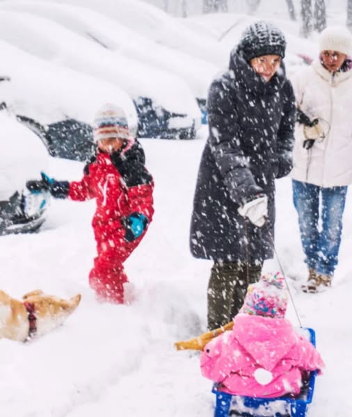 Iarna stăpâna României. Unde vin gerul și ninsorile. Vezi mai jos Prognoza meteo ANM până pe 26 ianuarie