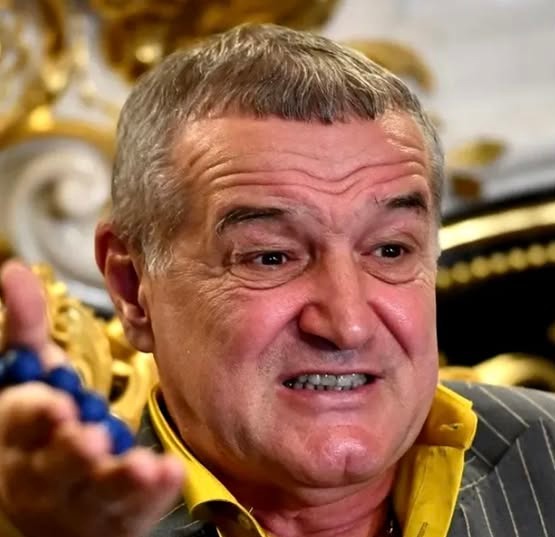 Gigi Becali derapaj incredibil despre Elena Lasconi